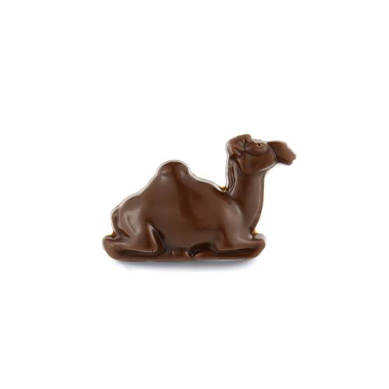 Camel Milk Chocolate