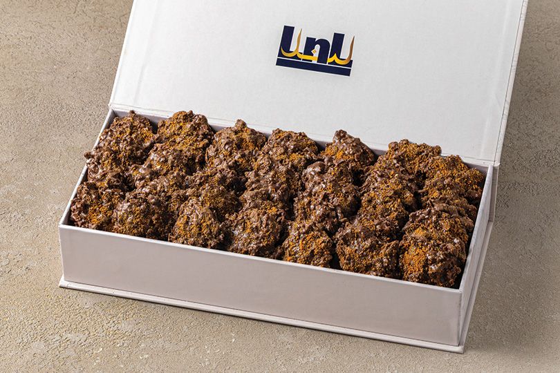 LNL Chocolate